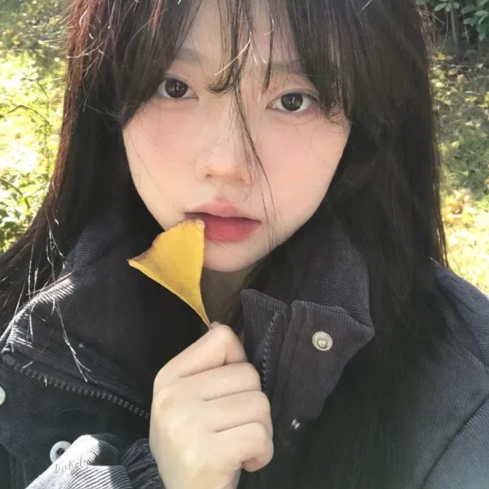战火中的小狐狸